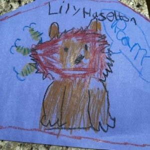 Our picture of the Week is ‘How The Lion Got His Roar’ illustrated by Lily, 6 from Weymouth, MA.